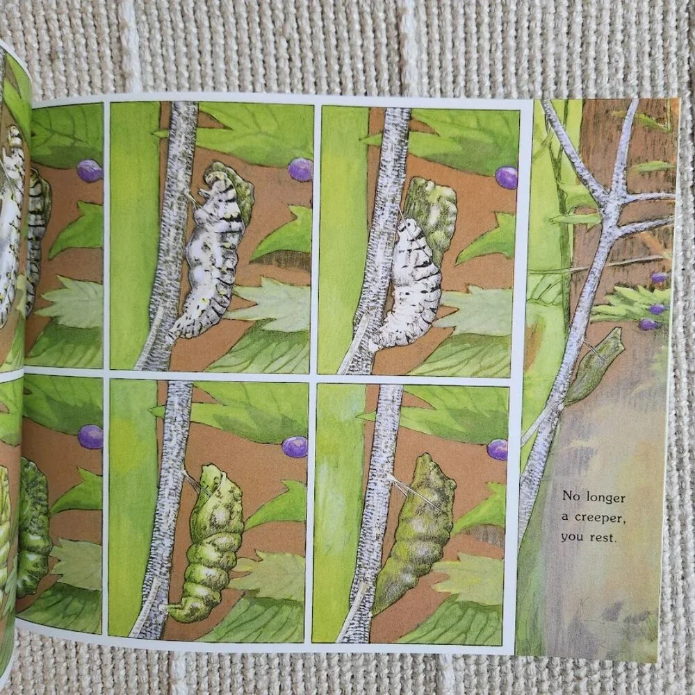 Where Butterflies Grow Paperback Book Vintage 1996 Nature Butterfly Life Cycle